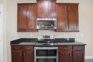 11504 Harlan Eddy Ct, Riverview, FL 33579 - Photo 7