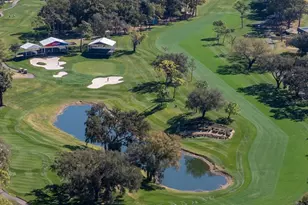 36750 US Hwy 19 N, Palm Harbor, FL 34683 - Photo 77