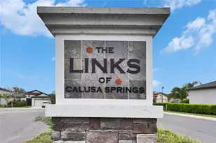 6927 Shelby Lynn Way, Zephyrhills, FL 33542 - Photo 59