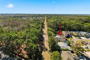 10006 Vista Pointe Dr, Tampa, FL 33635 - Photo 67
