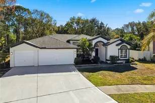 10006 Vista Pointe Dr, Tampa, FL 33635 - Photo 73