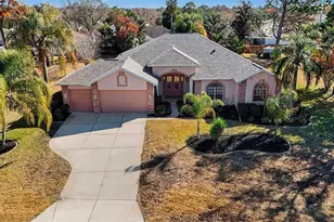 13783 Rudi Loop, Spring Hill, FL 34609 - Photo 35