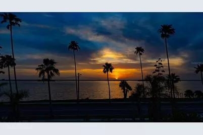 43 Edgewater Drive, Dunedin, FL 34698 - Photo 11