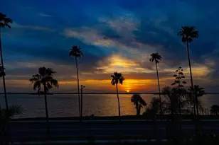 43 Edgewater Dr, Dunedin, FL 34698 - Photo 11