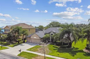 26848 Shoregrass Dr, Wesley Chapel, FL 33544 - Photo 7