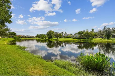 26848 Shoregrass Drive, Wesley Chapel, FL 33544 - Photo 71