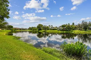 26848 Shoregrass Dr, Wesley Chapel, FL 33544 - Photo 71