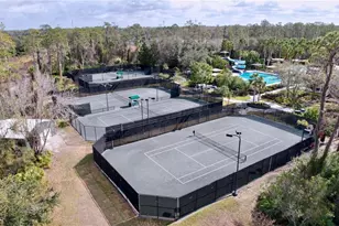 26848 Shoregrass Dr, Wesley Chapel, FL 33544 - Photo 85