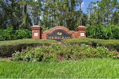 26848 Shoregrass Drive, Wesley Chapel, FL 33544 - Photo 77