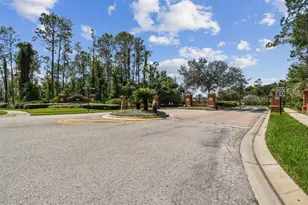 26848 Shoregrass Dr, Wesley Chapel, FL 33544 - Photo 79