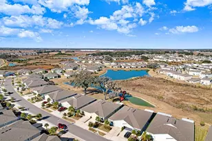 31425 Mango Fade Wy, San Antonio, FL 33576 - Photo 59