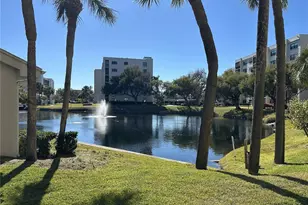 1316 Pasadena Ave S, South Pasadena, FL 33707 - Photo 43