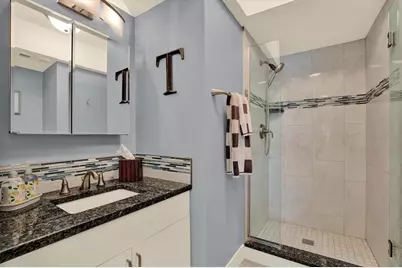 1461 74th Circle NE, Saint Petersburg, FL 33702 - Photo 45