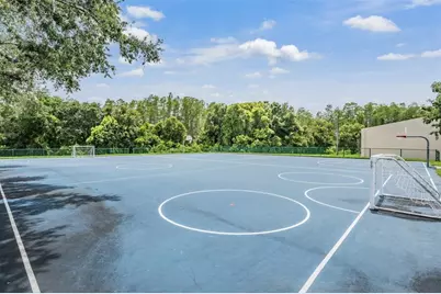 6504 Thoroughbred Loop, Odessa, FL 33556 - Photo 63