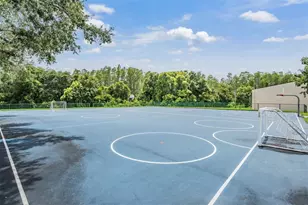 6504 Thoroughbred Loop, Odessa, FL 33556 - Photo 63