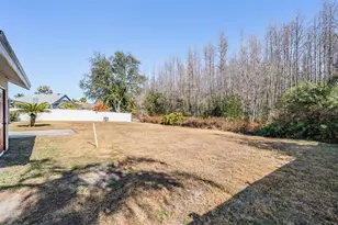 6504 Thoroughbred Loop, Odessa, FL 33556 - Photo 35