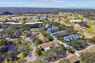 2501 Oak Cir, Tarpon Springs, FL 34689 - Photo 63