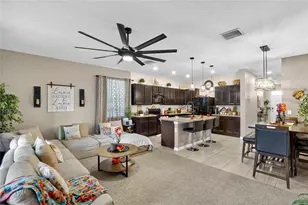 8647 Falling Blue Pl, Riverview, FL 33578 - Photo 15