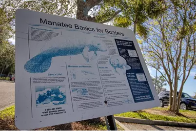 3315 58 Avenue S #608, Saint Petersburg, FL 33712 - Photo 23