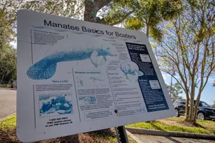 3315 58th Ave S, Saint Petersburg, FL 33712 - Photo 23