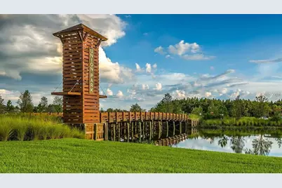 32920 Pez Landing Lane, Wesley Chapel, FL 33543 - Photo 17