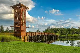 32920 Pez Landing Ln, Wesley Chapel, FL 33543 - Photo 17