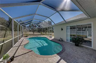 13322 Trailing Moss Dr, Dade City, FL 33525 - Photo 51