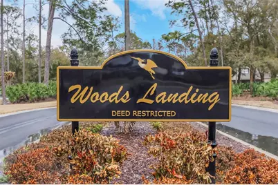 235 Woods Landing Trail #235, Oldsmar, FL 34677 - Photo 43