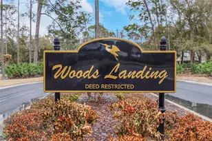 235 Woods Landing Trail, Oldsmar, FL 34677 - Photo 43