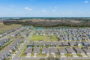 33115 Sycamore Leaf Dr, Wesley Chapel, FL 33545 - Photo 53