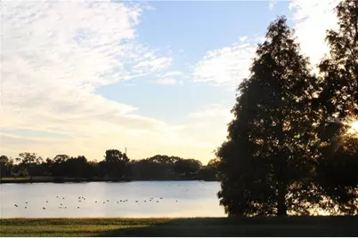 11401 Waveland Way, Tampa, FL 33624 - Photo 31