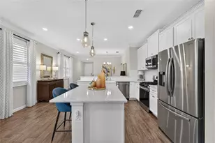 303 Black Rock Ln, Apollo Beach, FL 33572 - Photo 15