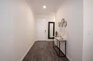 303 Black Rock Ln, Apollo Beach, FL 33572 - Photo 9