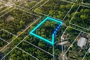 45710 Pennsylvania St, Paisley, FL 32767 - Photo 1