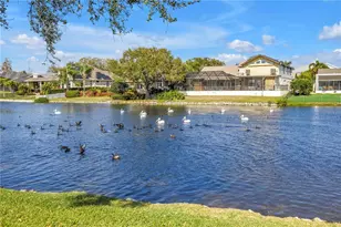 771 Suwannee Ct NE, Saint Petersburg, FL 33702 - Photo 5