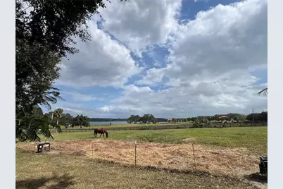 32935 Jesse Jones Avenue, San Antonio, FL 33576 - Photo 11