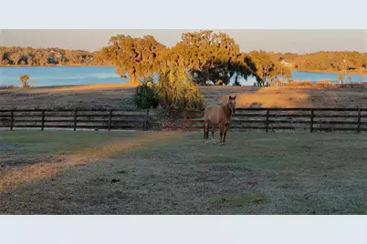 32935 Jesse Jones Avenue, San Antonio, FL 33576 - Photo 3