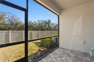 8519 Primrose Willow Pl, Odessa, FL 33556 - Photo 41