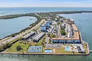 7 Dunoon Pl, Dunedin, FL 34698 - Photo 19