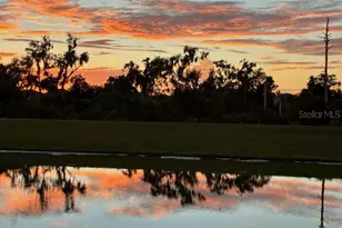 16906 Trite Bend St, Wimauma, FL 33598 - Photo 7