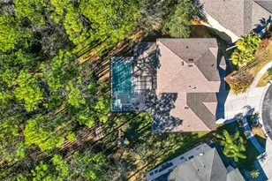 6604 Portland Oak Ct, Tampa, FL 33647 - Photo 73