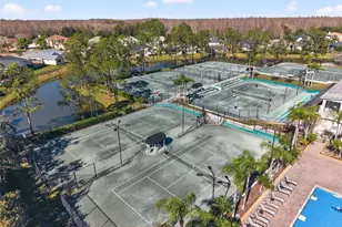 4311 Ave Cannes, Lutz, FL 33558 - Photo 47