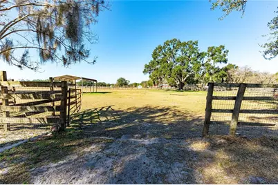 27430 Miller Road, Dade City, FL 33525 - Photo 19