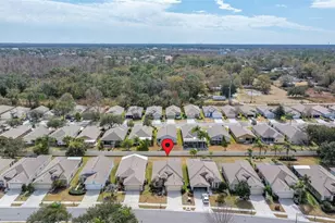 23730 Coral Ridge Ln, Land O Lakes, FL 34639 - Photo 29