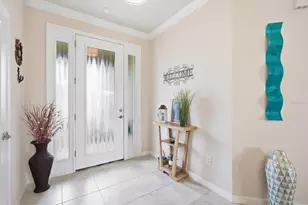 11605 Cleyera Ct, Riverview, FL 33579 - Photo 3