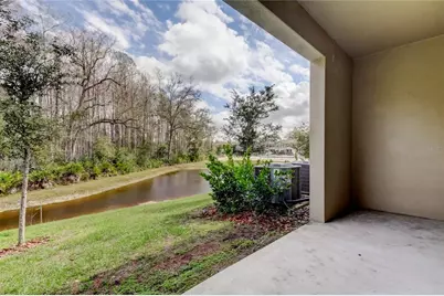 17567 Nectar Flume Drive, Land O Lakes, FL 34638 - Photo 47