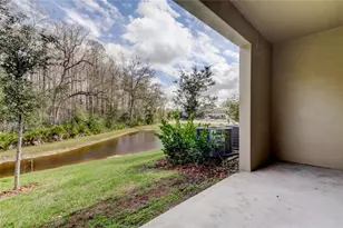 17567 Nectar Flume Dr, Land O Lakes, FL 34638 - Photo 47