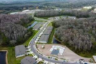 17567 Nectar Flume Dr, Land O Lakes, FL 34638 - Photo 69