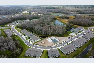 17567 Nectar Flume Drive, Land O Lakes, FL 34638 - Photo 71