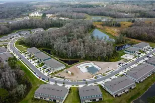 17567 Nectar Flume Dr, Land O Lakes, FL 34638 - Photo 71